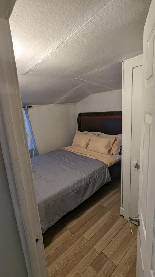 Cozy Downtown One Bedroom Free Parking Kingston Eksteriør bilde